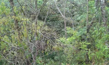 imagem 4 - Chácara no bairro Jaguari em SJCampos imagem 4 - Chácara no bairro Jaguari em SJCampos