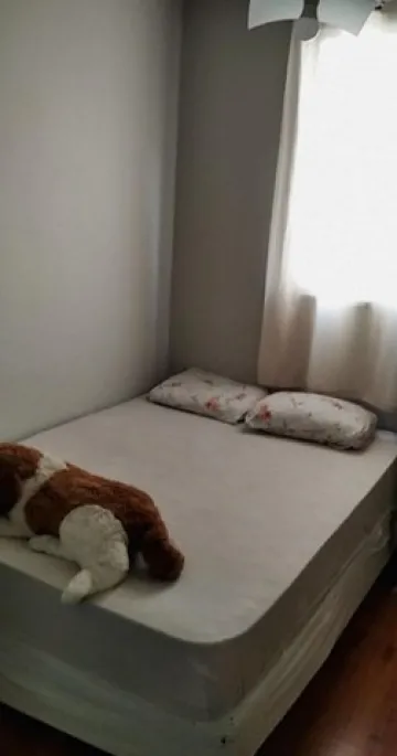 imagem 5 - Apartamento no Edifício Brisa do Parque III imagem 5 - Apartamento no Edifício Brisa do Parque III