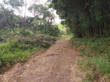 imagem 1 - Sítio de 10 alqueires em Monteiro LObato imagem 1 - Sítio de 10 alqueires em Monteiro LObato
