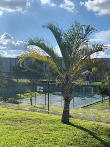 imagem 5 - Lote de terreno no Bella Città - Caçapava imagem 5 - Lote de terreno no Bella Città - Caçapava