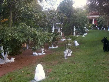 imagem 4 - Chácara em Itajubá - MG imagem 4 - Chácara em Itajubá - MG