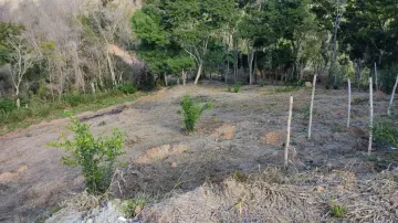imagem 1 - Venda do Sítio Bonanza em Caçapava imagem 1 - Venda do Sítio Bonanza em Caçapava