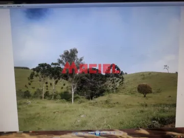 imagem 5 - Rural - Fazenda, Sítio e Chácara imagem 5 - Rural - Fazenda, Sítio e Chácara