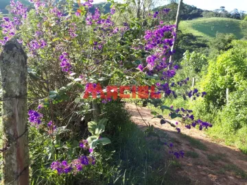 imagem 2 - Rural - Fazenda, Sítio e Chácara imagem 2 - Rural - Fazenda, Sítio e Chácara