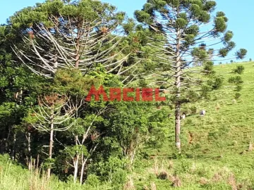 imagem 3 - Rural - Fazenda, Sítio e Chácara imagem 3 - Rural - Fazenda, Sítio e Chácara