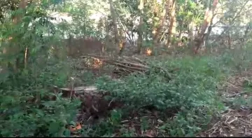 imagem 1 - Terreno - Área imagem 1 - Terreno - Área
