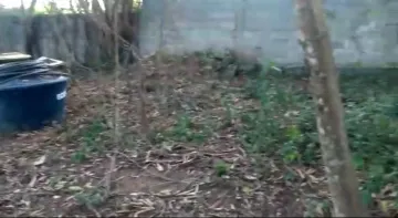 imagem 4 - Terreno - Área imagem 4 - Terreno - Área