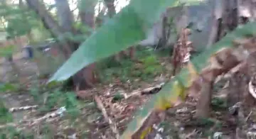 imagem 5 - Terreno - Área imagem 5 - Terreno - Área
