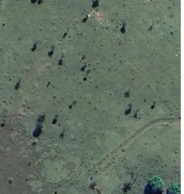 imagem 1 - Terreno - Área imagem 1 - Terreno - Área