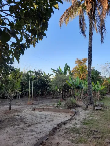 imagem 1 - Rural - Fazenda, Sítio e Chácara imagem 1 - Rural - Fazenda, Sítio e Chácara