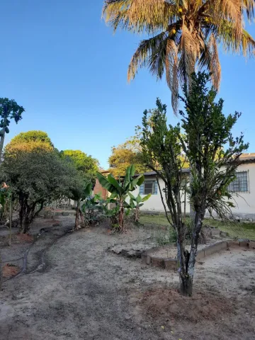 imagem 3 - Rural - Fazenda, Sítio e Chácara imagem 3 - Rural - Fazenda, Sítio e Chácara