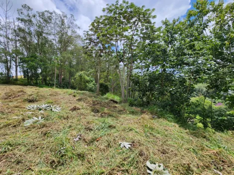 imagem 4 - Terreno - Área imagem 4 - Terreno - Área