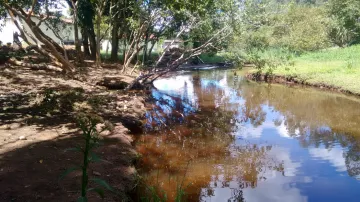 imagem 2 - Rural - Fazenda, Sítio e Chácara imagem 2 - Rural - Fazenda, Sítio e Chácara
