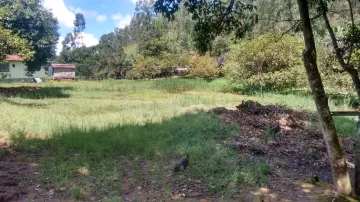 imagem 3 - Rural - Fazenda, Sítio e Chácara imagem 3 - Rural - Fazenda, Sítio e Chácara
