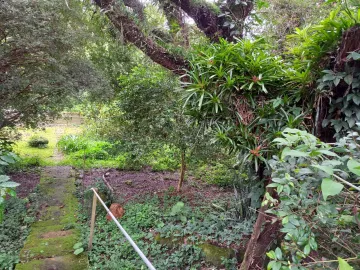 imagem 4 - Rural - Fazenda, Sítio e Chácara imagem 4 - Rural - Fazenda, Sítio e Chácara
