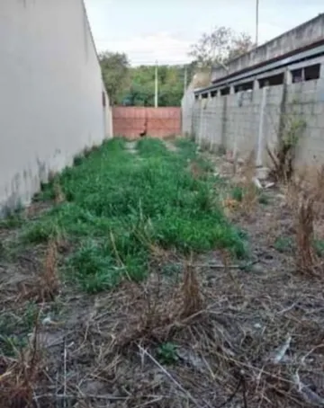 imagem 1 - Terreno no Jardim Castanheira imagem 1 - Terreno no Jardim Castanheira