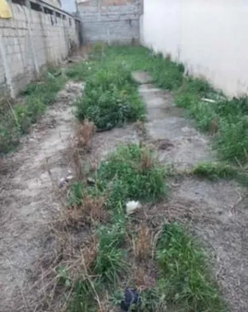 imagem 5 - Terreno no Jardim Castanheira imagem 5 - Terreno no Jardim Castanheira