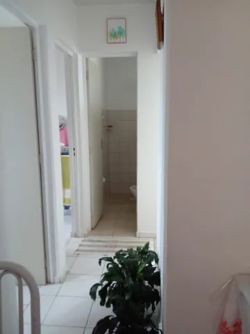 imagem 4 - Apartamento - Padrão imagem 4 - Apartamento - Padrão