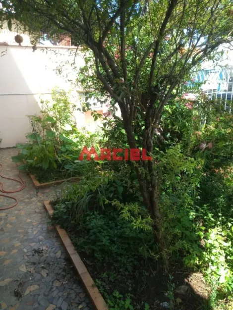 imagem 2 - Casa lote inteiro com edícula imagem 2 - Casa lote inteiro com edícula