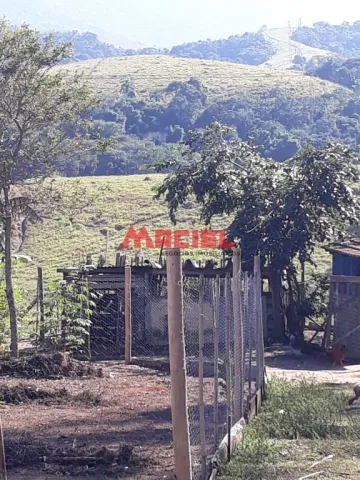 imagem 1 - CHÁCARA COM 3 CASAS , INTERNET, POMAR, PLANTAÇÃO imagem 1 - CHÁCARA COM 3 CASAS , INTERNET, POMAR, PLANTAÇÃO