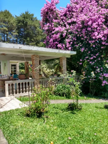 imagem 4 - Rural - Fazenda, Sítio e Chácara imagem 4 - Rural - Fazenda, Sítio e Chácara