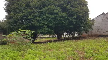 imagem 5 - ÁREA A VENDA - BOM RETIRO imagem 5 - ÁREA A VENDA - BOM RETIRO