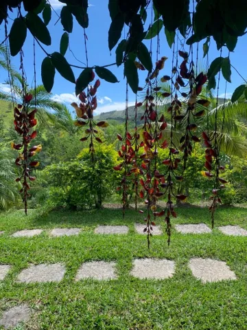 imagem 2 - Sítio em Monteiro Lobato 11 alqueires com internet fibra , energia solar e gerador imagem 2 - Sítio em Monteiro Lobato 11 alqueires com internet fibra , energia solar e gerador
