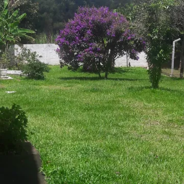 imagem 3 - Rural - Chácara imagem 3 - Rural - Chácara