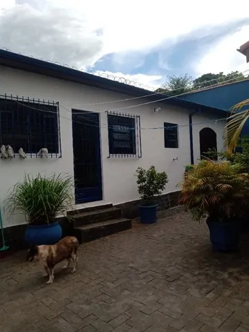 imagem 1 - Casa térrea (Vila Jaci - Santana) - 3 quartos / 1 suíte / edícula imagem 1 - Casa térrea (Vila Jaci - Santana) - 3 quartos / 1 suíte / edícula