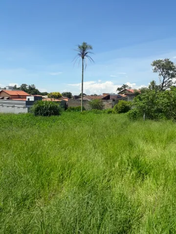 imagem 4 - Casa - Padrão imagem 4 - Casa - Padrão