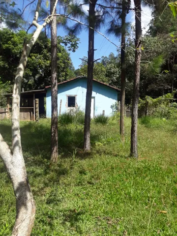 imagem 4 - Rural - Fazenda, Sítio e Chácara imagem 4 - Rural - Fazenda, Sítio e Chácara
