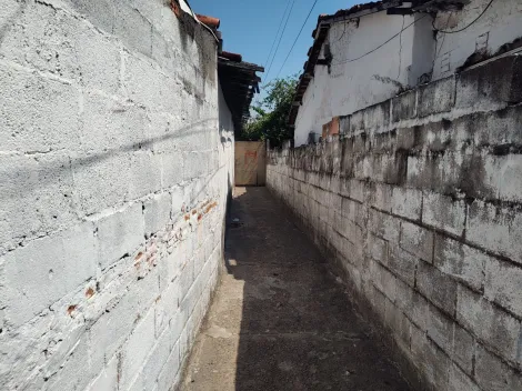 imagem 4 - Casa ja Antiga - Terreno 250m2 com possibilidade ampliação para 500m2 de terreno imagem 4 - Casa ja Antiga - Terreno 250m2 com possibilidade ampliação para 500m2 de terreno