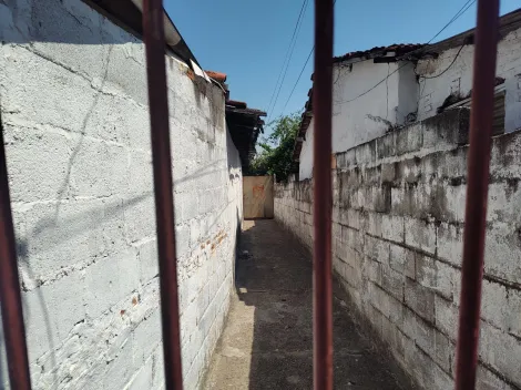 imagem 5 - Casa ja Antiga - Terreno 250m2 com possibilidade ampliação para 500m2 de terreno imagem 5 - Casa ja Antiga - Terreno 250m2 com possibilidade ampliação para 500m2 de terreno