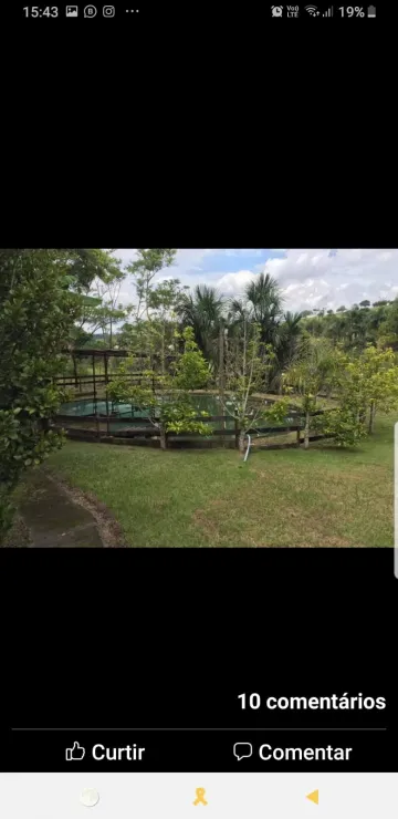 imagem 5 - CHACARA EM JACAREI, EXCELENTE LOCALIZAÇÃO, COM TRÊS CASAS, SALA 3 AMBIENTES, COZINHA COM FOGÃO A LENHA, TODA COM VARANDA EM VOLTA, DESPENSA, LAVABO, AREA GOURMET COM CHURRASQUEIRA, ESCRITURA REGISTRADA imagem 5 - CHACARA EM JACAREI, EXCELENTE LOCALIZAÇÃO, COM TRÊS CASAS, SALA 3 AMBIENTES, COZINHA COM FOGÃO A LENHA, TODA COM VARANDA EM VOLTA, DESPENSA, LAVABO, AREA GOURMET COM CHURRASQUEIRA, ESCRITURA REGISTRADA