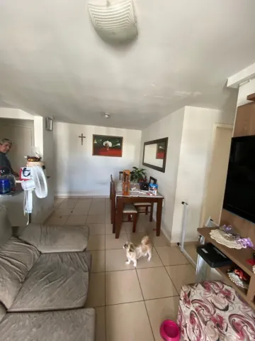 imagem 3 - Apartamento com 3 dormitórios à venda, 69 m² por R$ 430.000,00 - Jardim América - São José dos Campo imagem 3 - Apartamento com 3 dormitórios à venda, 69 m² por R$ 430.000,00 - Jardim América - São José dos Campo