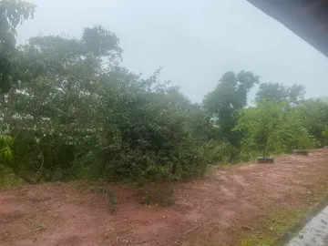 imagem 4 - Rural - Fazenda, Sítio e Chácara imagem 4 - Rural - Fazenda, Sítio e Chácara