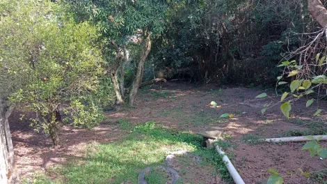 imagem 3 - Casa na Vila São Bento com amplo terreno imagem 3 - Casa na Vila São Bento com amplo terreno