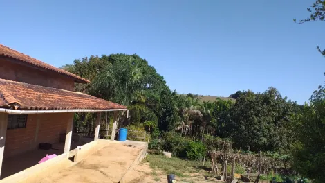 imagem 2 - Rural - Fazenda, Sítio e Chácara imagem 2 - Rural - Fazenda, Sítio e Chácara