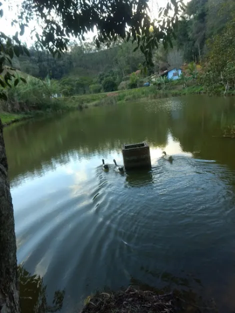 imagem 3 - Rural - Fazenda, Sítio e Chácara imagem 3 - Rural - Fazenda, Sítio e Chácara