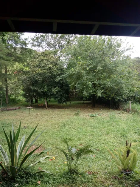 imagem 2 - Rural - Fazenda, Sítio e Chácara imagem 2 - Rural - Fazenda, Sítio e Chácara