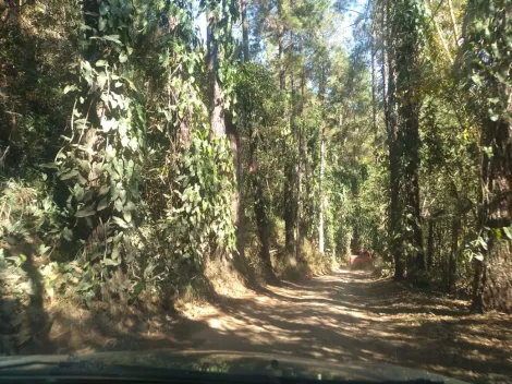 imagem 2 - Rural - Chácara imagem 2 - Rural - Chácara