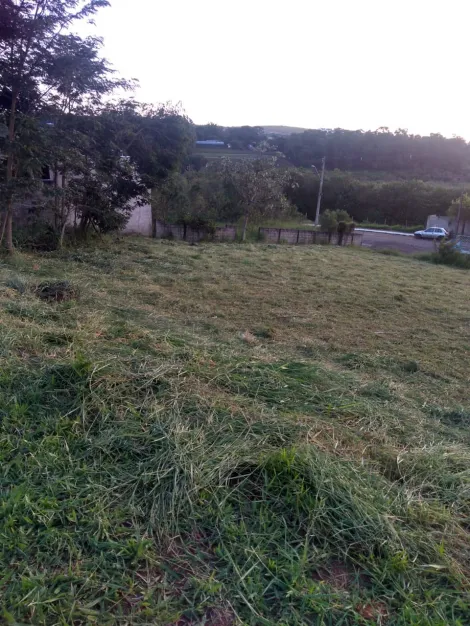 imagem 5 - Terreno em Taubaté com 1.100 metros, pequeno declive, rua com asfalto, próximo a Dutra e via Vale shopping, escritura registrada, aceita permuta por casa ou apto em caraguatatuba. imagem 5 - Terreno em Taubaté com 1.100 metros, pequeno declive, rua com asfalto, próximo a Dutra e via Vale shopping, escritura registrada, aceita permuta por casa ou apto em caraguatatuba.