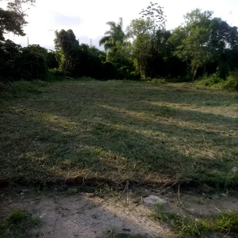 imagem 1 - Terreno plano em Caraguatatuba, medindo 10 metros de frente e 29 metros de fundos. Fica no final do bairro Golfinho, com escritura registrada. imagem 1 - Terreno plano em Caraguatatuba, medindo 10 metros de frente e 29 metros de fundos. Fica no final do bairro Golfinho, com escritura registrada.