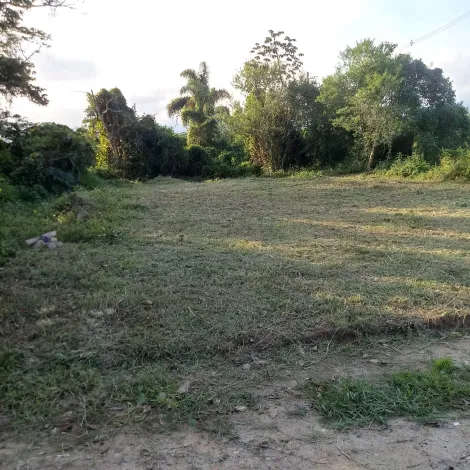 imagem 2 - Terreno plano em Caraguatatuba, medindo 10 metros de frente e 29 metros de fundos. Fica no final do bairro Golfinho, com escritura registrada. imagem 2 - Terreno plano em Caraguatatuba, medindo 10 metros de frente e 29 metros de fundos. Fica no final do bairro Golfinho, com escritura registrada.