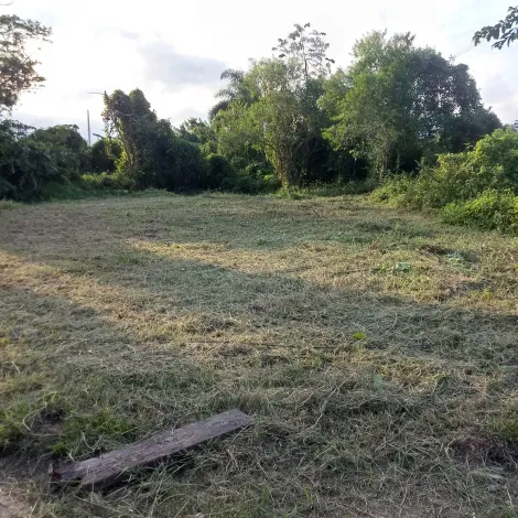 imagem 3 - Terreno plano em Caraguatatuba, medindo 10 metros de frente e 29 metros de fundos. Fica no final do bairro Golfinho, com escritura registrada. imagem 3 - Terreno plano em Caraguatatuba, medindo 10 metros de frente e 29 metros de fundos. Fica no final do bairro Golfinho, com escritura registrada.
