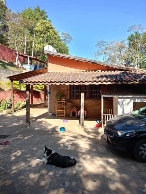 imagem 1 - Rural - Fazenda, Sítio e Chácara imagem 1 - Rural - Fazenda, Sítio e Chácara