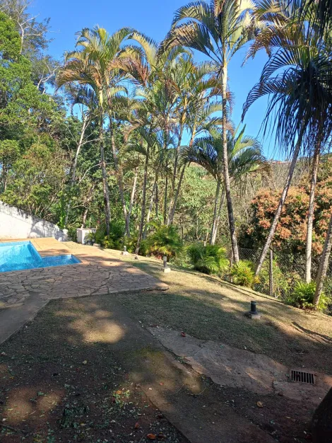imagem 3 - Rural - Fazenda, Sítio e Chácara imagem 3 - Rural - Fazenda, Sítio e Chácara