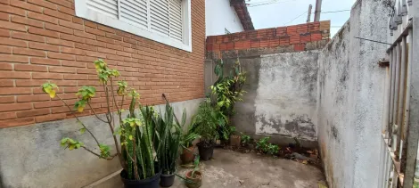 imagem 4 - Casa - Padrão imagem 4 - Casa - Padrão