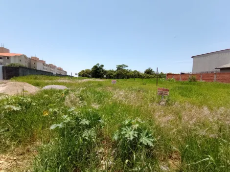 imagem 4 - TERRENO PLANO EM EXCELENTE LOCALIZAÇÃO. imagem 4 - TERRENO PLANO EM EXCELENTE LOCALIZAÇÃO.