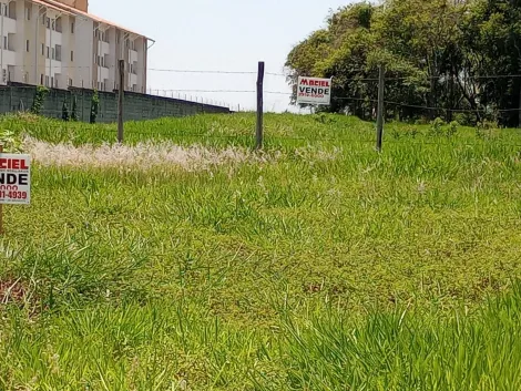 imagem 4 - Terreno - Residencial imagem 4 - Terreno - Residencial